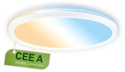 Obrázok produktu pre Stropné svietidlo EEK A LED Panel s možnosťou stmievania, diaľkovým ovládaním a reguláciou teploty farby, Ø 29,3 cm, biele