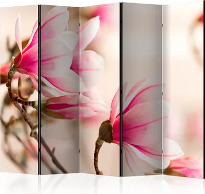 Produktbild von Akusticher Raumteiler Magnolie Foto Paravent 225x172 cm beidseitig auf Vlies-Leinwand bedruckt Akustikschaum Trennwand Spanische Wand Sichtschutz Home Office Blumen Natur Botanik b-C-0468-z-c