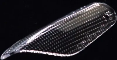Produktbild von VICMA Blinkerglas Lichtscheibe 12184 Vorne Rechts