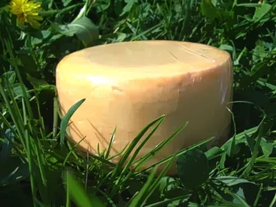 Immagine prodotto di Formaggio al burro da latte crudo, circa 700 g. Neuhaushof