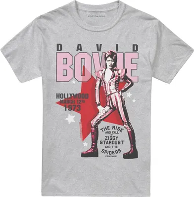 Image de David Bowie - T-shirt "Hollywood Style" pour homme/femme unie TV29012 (5XL) (Heather sportif)