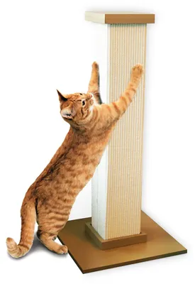 Productafbeelding van SmartCat Kattenboom met krabpaal
