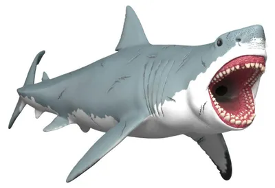Image de schleich DINOSAURES Megalodon 15055