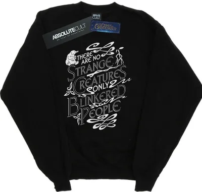 Produktbild von Fantastic Beasts - "Strange Creatures" Sweatshirt für Herren BI23197 (XXL) (Schwarz)