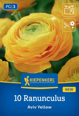 Artikelbild 2 von 'Ranunkeln Gelb (10 Stück)' aus der Kategorie Hahnenfußrhizome