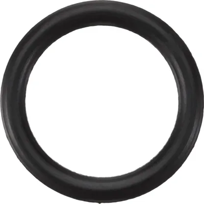 Produktbild von SW-Stahl S3275-41 O-Ring, 15,8 mm x 2,62 mm