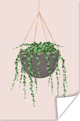 Produktbild von MuchoWow® Poster Pflanzen - Hängender Blumentopf 80x120 cm - Papierdruck
