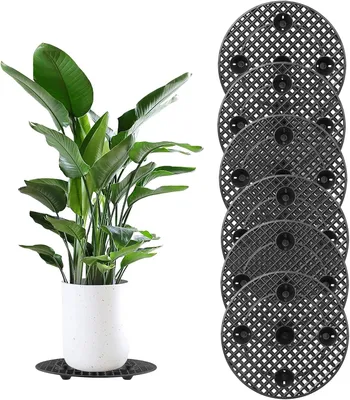 Immagine prodotto di 6 supporti per vasi da 30 cm, adatti per piante in vaso, con griglia di drenaggio circolare