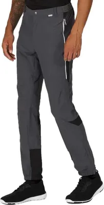 Produktbild von Regatta Mountain Iii Hosen Grau 42 / 32 Herren Grau 42
