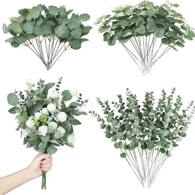 Produktbild von 30 Stück Eukalyptus-Nepplant - Trockenblumen Dekoration für Hochzeiten und Heimaccessoires