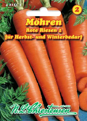 Produktbild von Speisemöhre Rote Riesen 2 | Möhrensamen von N.L. Chrestensen