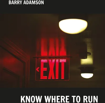 Obrázek produktu pro Barry Adamson: Know Where To Run