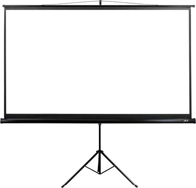 Zdjęcie produktu dla Ekran projekcyjny AVELI na statywie, 265x149cm (16:9) 120", czarna tuba