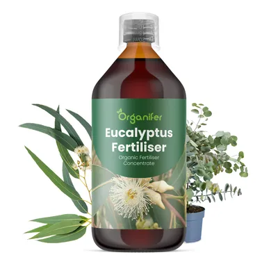 Produktbild von Eucalyptus Flüssigdünger 1L – 3-4-3 NPK – Flüssigdünger Für Bäume – Für Blätter & Kräftiges Wachstum – Fördert Wurzeln & Stabilität – Organifer