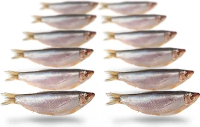 Produktbild von Köderfische Sprotte - Vakuumverpackt | 8-13CM | 10-18ST