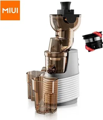 Obrázek produktu pro Domácí odšťavňovač – 1000 ml – 60 ot./min. – 250 W – se sítkem – kuchyňský odšťavňovač na ovoce
