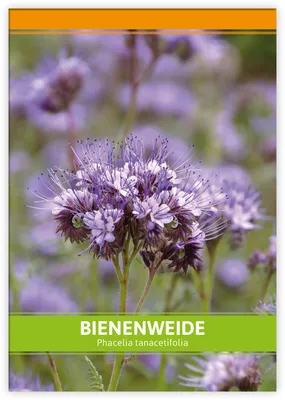 Artikelbild 1 von 'Bienenweide für Werbezwecke' aus der Kategorie Saatgut für Werbezwecke