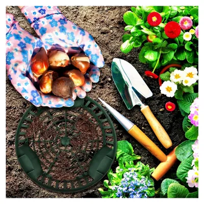 Produktbild von 10er Set Pflanzschale für Blumenzwiebeln – Korb zum Pflanzen von Tulpenzwiebeln – ⌀ 215 mm – Korb für Zwiebelgewächse