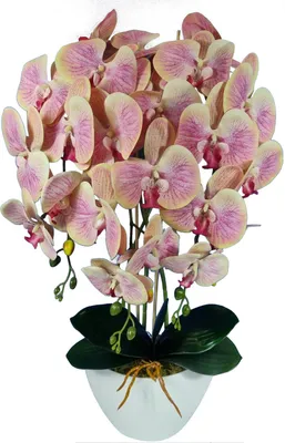 Obrázek produktu pro Damich umělá orchidej, čajovník, z kaučuku, 3pgrz