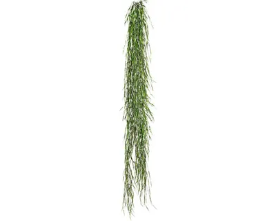 Produktbild von Kunstpflanze Weidenhänger Höhe: 160 cm grün