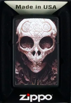 Produktbild von Zippo Benzinfeuerzeug Schwarz Skull Design