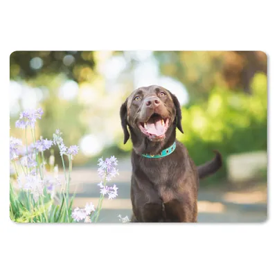 Produktbild von MuchoWow® Schreibtischunterlage Ein Labrador Retriever mit schönen Blumen 60x40 cm - XXL Mauspad - Großes Mauspad