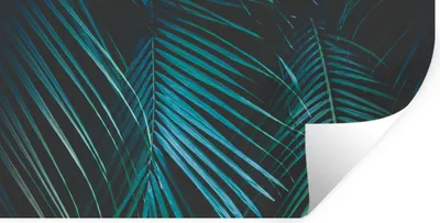 Produktbild von MuchoWow® Wandtattoo Wandsticker Wandaufkleber Palme - Palmenbaum - Tropisch 160x80 cm Selbstklebend und Repositionierbar - Sticker - Dekorfolie