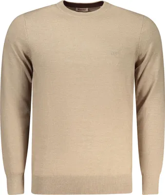 Immagine prodotto di Elegante maglione da uomo beige con scollo rotondo e ricamo