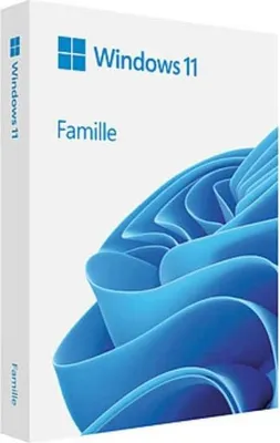 Produktbild von Microsoft Windows 11 Home, Französisch, 1 Lizenz(en), 64 GB, 4,1 TB, 1000 GHz, DVD
