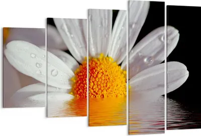 Produktbild von Bild auf Leinwand - Leinwandbild - Kraut Kamille Blume Wasser - 150x100cm - Wand Bild - Wanddeko - Leinwanddruck - Bilder - Kunstdruck - Wanddekoration - Leinwand bilder - Wandkunst - EG150x100-2282