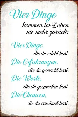 Produktbild von vianmo Holzschild 30x20 cm 4 Dinge kommen nie mehr zurück