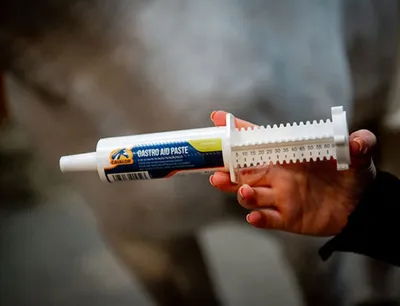 Productafbeelding van Cavalor Gastro Aid Paste 6x60 gram