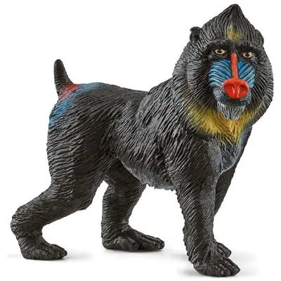 Produktbild von Schuhe Schleich 14856 für Kinder