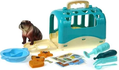 Produktbild von Hund mit Transportbox und Zubehör
