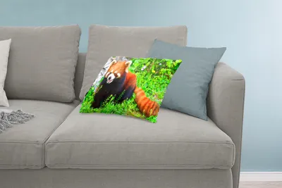 Produktbild von MuchoWow® Zierkissen Sofakissen Wohnzimmer Dekokissen 60x40 cm Roter Panda - Grün - Gras - Kopfkissen - Polster mit Foto