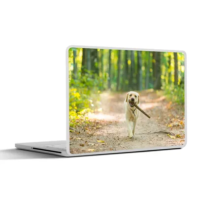 Produktbild von MuchoWow® Laptop Aufkleber Sticker Cover Hund - Wald - Bäume 30x21 cm - Sticker für Laptop - Selbstklebend