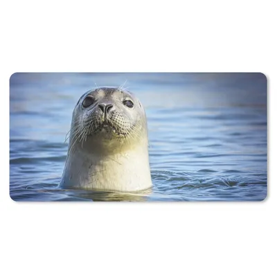 Produktbild von MuchoWow® Mauspad Mousepad Siegel - Porträt - Wasser 60x30 cm - Mousepads - Maus Mat - Pad - Mausunterlage - Nachhaltig