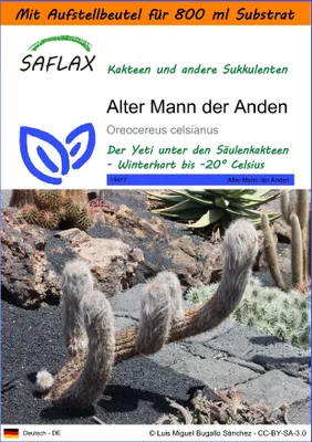 Produktbild von SAFLAX Garden in the bag - Alter Mann der Anden - Oreocereus celsianus - 40 Samen - Mit Anzuchtsubstrat im praktischen, selbst aufstellenden Beutel