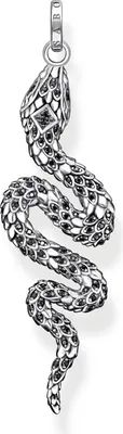 Image de Thomas Sabo PE945-643-11 pendentif
