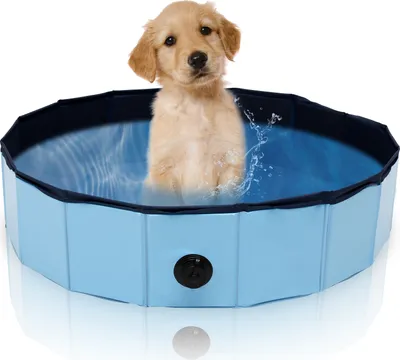 Produktbild von karpal Hundepool fuer hunde und katzen, Faltbarer 80 x 20cm Swimmingpool mit Ablassventil, tragbare und verschleissfest Hundeplanschbecken