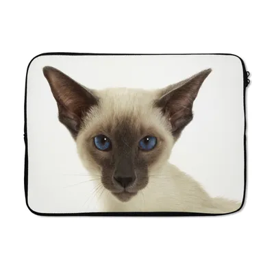 Produktbild von MuchoWow® Laptop Hülle 13 Zoll Porträt einer Siamkatze Laptoptasche - Laptophülle - Sleeve - Rundumschutz