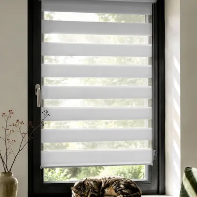 Produktbild von Doppelrollo Fenster ohne Bohren Zevra 60x160cm Hellgrau Hellgrau VICTORIA M