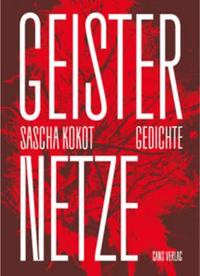 Immagine prodotto di Geisternetze Gedichtband von Sascha Kokot: Kinderwunsch, Reproduktionsmedizin, Verlust und Vergänglichkeit