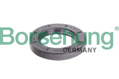 Produktbild von Borsehung Wellendichtring Schaltgetriebe B12191 für VW Golf VII Schrägheck (5G1, BQ1, BE1, BE2) Golf IV Schrägheck (1J1) GOLF VI (5K1) POLO (9N)