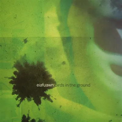 Immagine prodotto di Birds In The Ground - Vinile bianco -