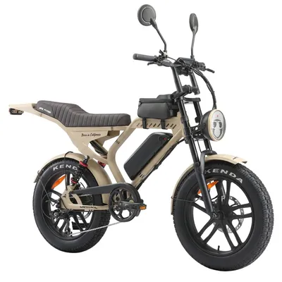 Immagine prodotto di Fat Bike Elettrica Ape Ryder Mandril Ultra 250W 48V Bici Elettrica Pedalata Assistita Autonomia 50 km Beige