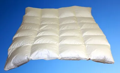 Produktbild von Betten Hofmann White Sibiria Schneegänseflaum Daunendecke mit 4 cm Außensteg 4x6 135x200 cm