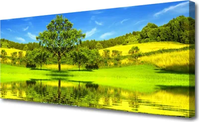 Produktbild von Tulup Leinwand-Bilder 125x50 Wandbild Canvas Kunstdruck Wiese Baum Natur