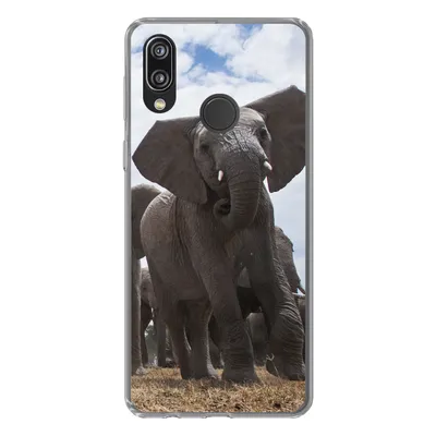 Produktbild von MuchoWow® Handyhülle Schutzhülle Hülle für Huawei P20 Lite (2020) Elefant - Tiere - Natur - Flachland Silikon Softcase Handy Hülle - Kartenhalter