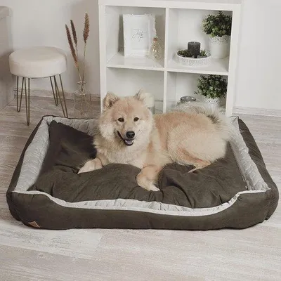 Obrázok produktu pre Ležadlo pre psov 2 v 1 pre stredne veľké psy – chladí a hreje, prateľné, 80 x 60 cm